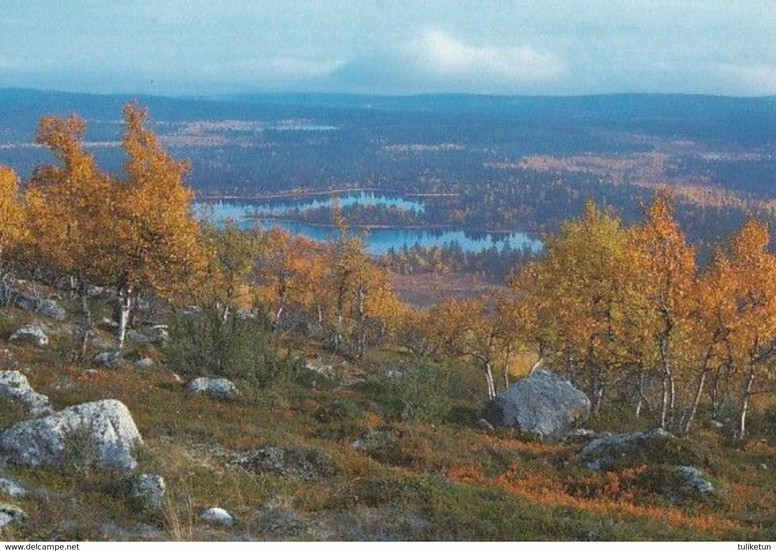 Autumn Landscape - Sammalvaara - Enontekiö - WWF Panda Logo - Flowers