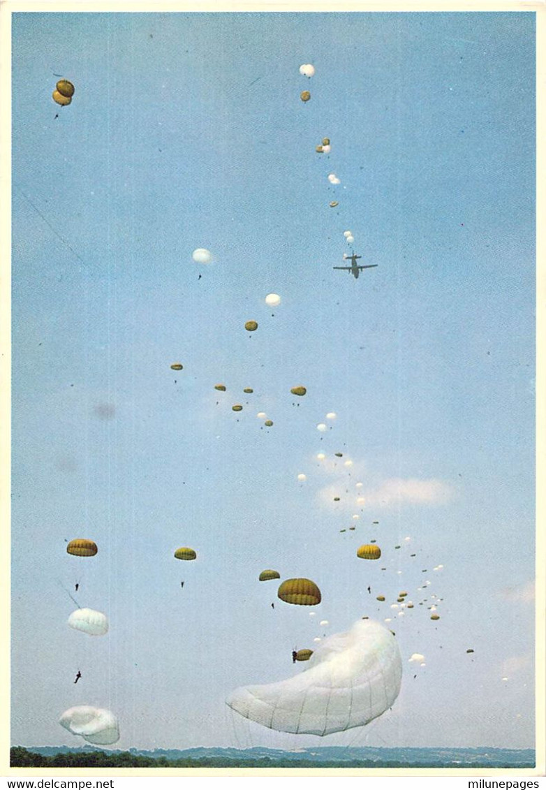 Largages Successifs De Parachutistes Depuis Des Transall C.160 Carte Grand Format 12.5x17.5 Segalen 44 - Parachutisme