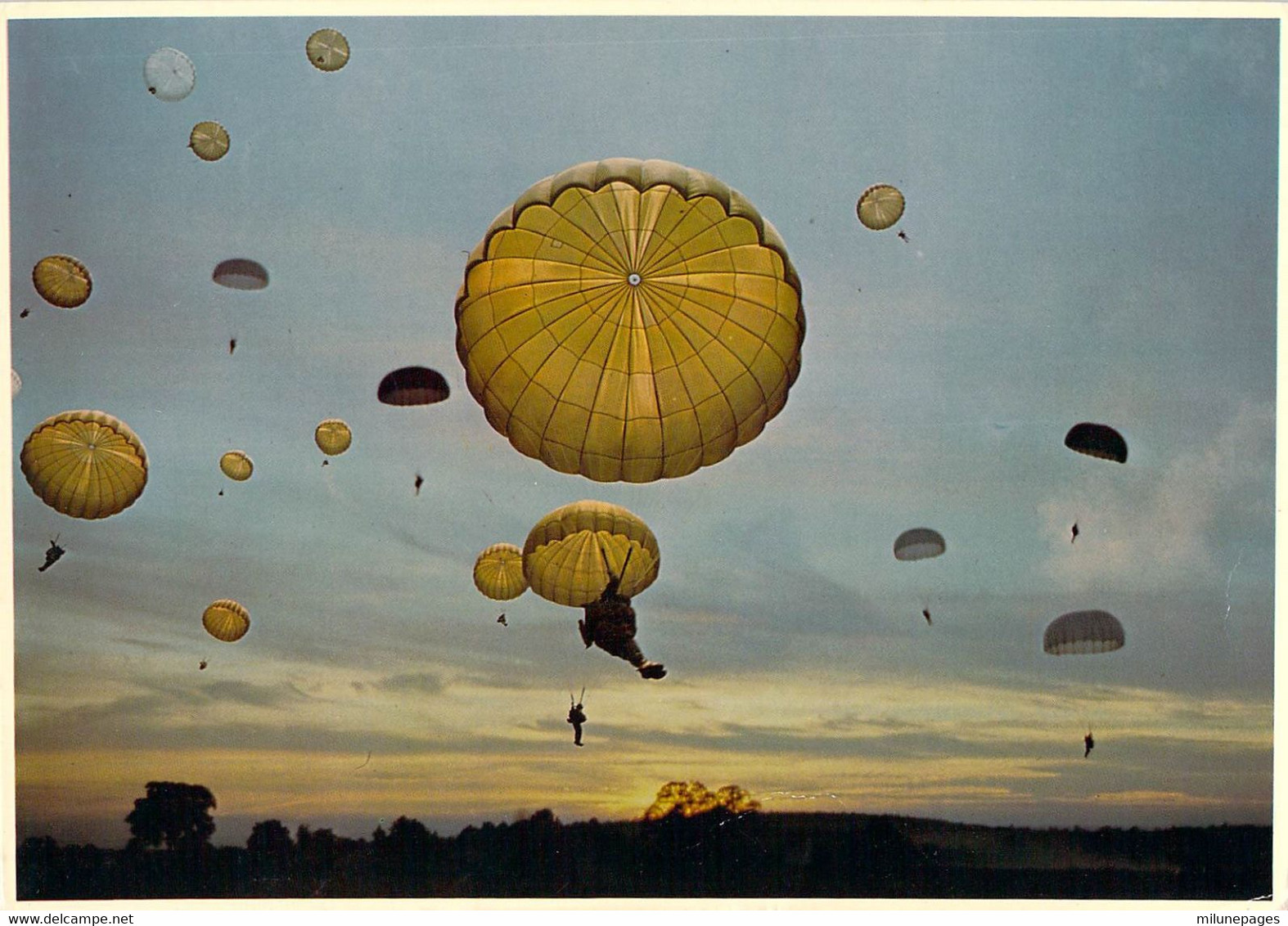 Arrivée Au Sol De Soldats Parachutistes Au Crépuscule Carte Géante 21x15 Segalen 161 - Parachutespringen