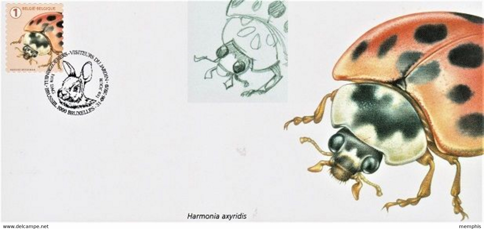 Maximumkaart "Harmonia Axyridis" (Marijke Meersman) - 2011-..