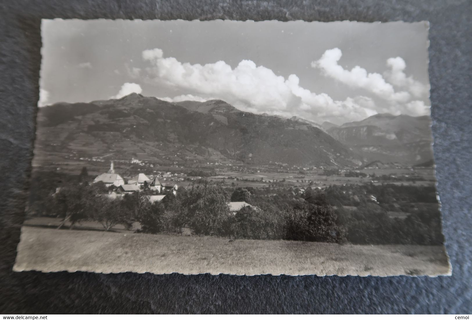 CPSM - PEILLONNEX (74) - Vue Générale - Les Brasses - 1954 - Peillonnex