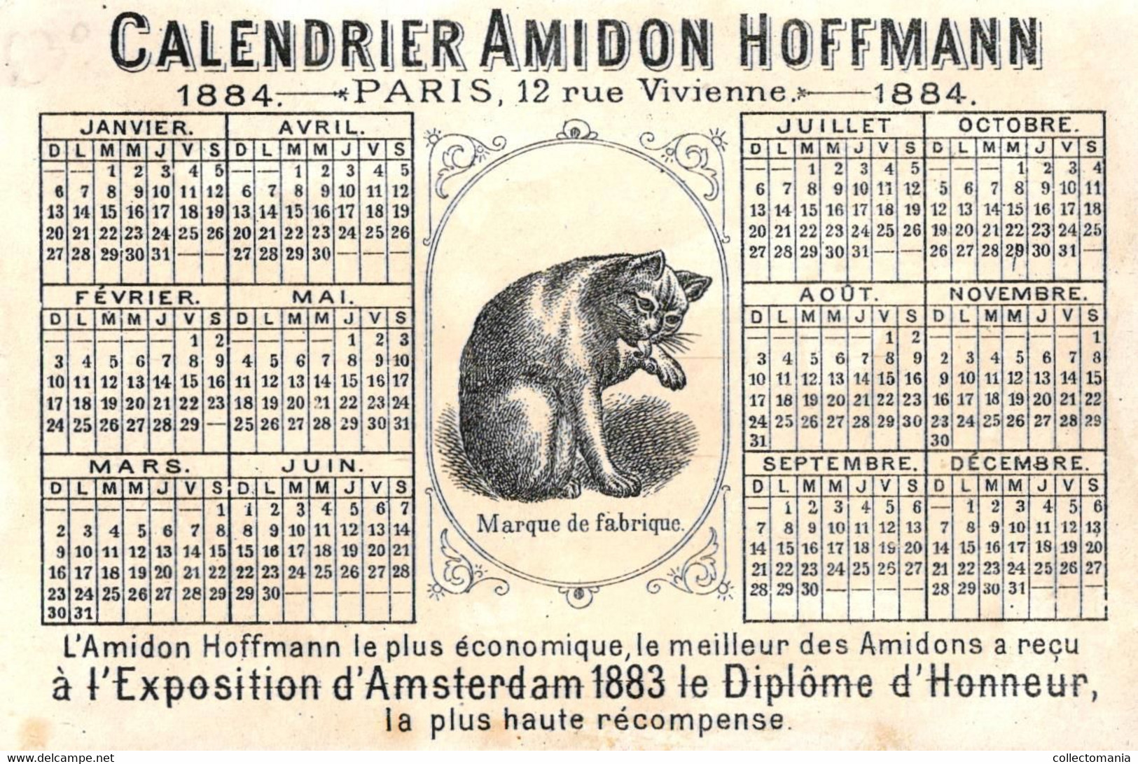 1   Calendrier 1884  Amidon Hoffmann Rue Vivienne PParis - Petit Format : ...-1900