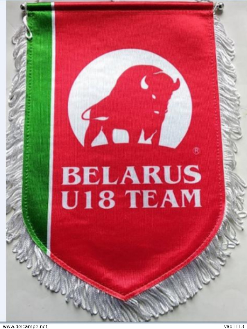 Hockey-  Official Pennant Of The Ice Hockey Federation Belarus For The U18 Team - Otros & Sin Clasificación