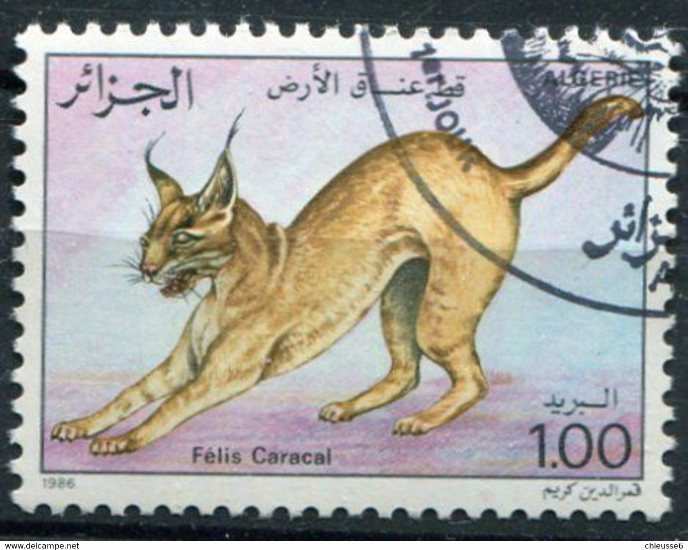 (CL 14 - P.54) Algerie Ob N° 859 - Caracal - - Altri & Non Classificati