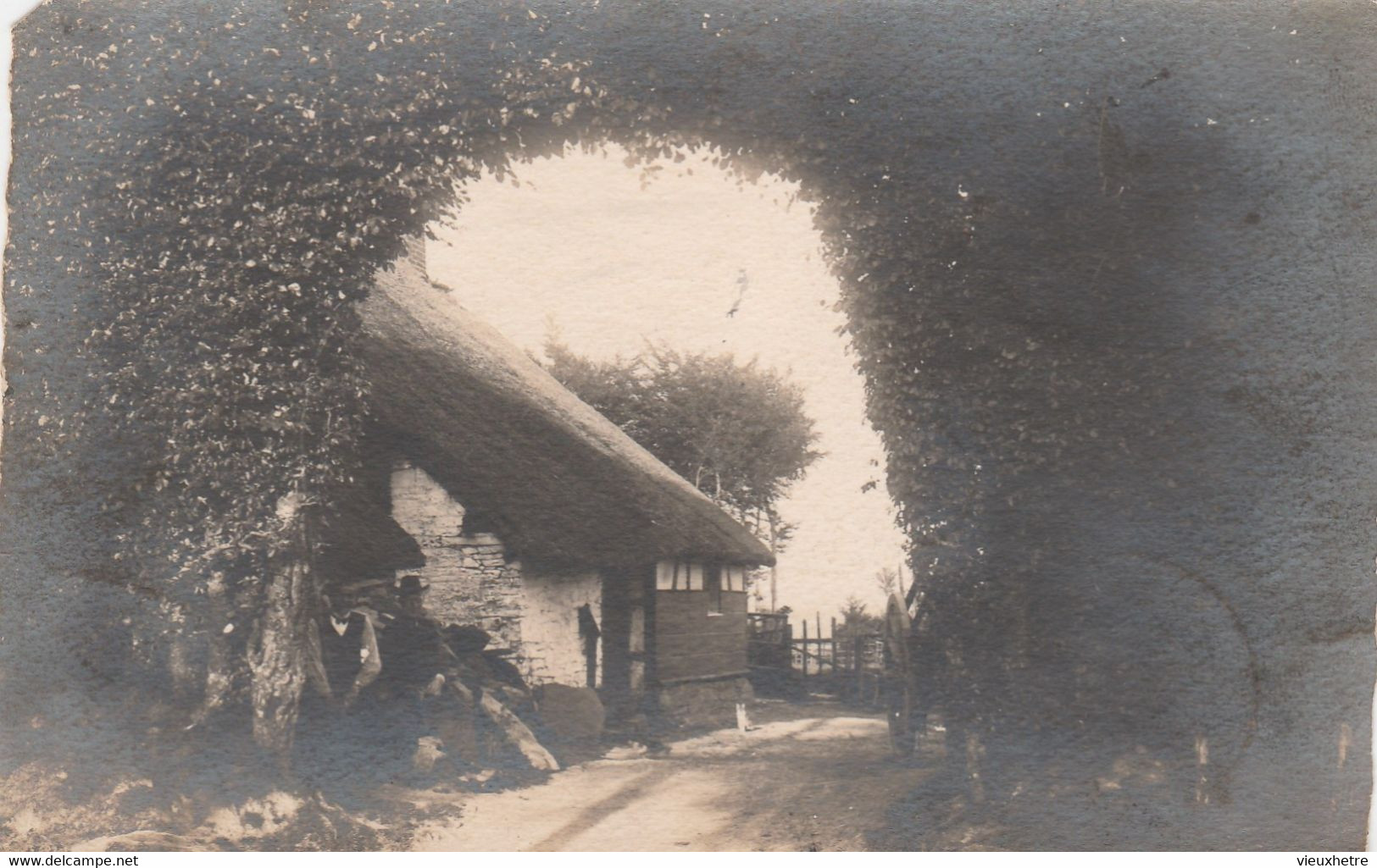 Région ELSENBORN SOURBRODT  Photo Carte - Weismes