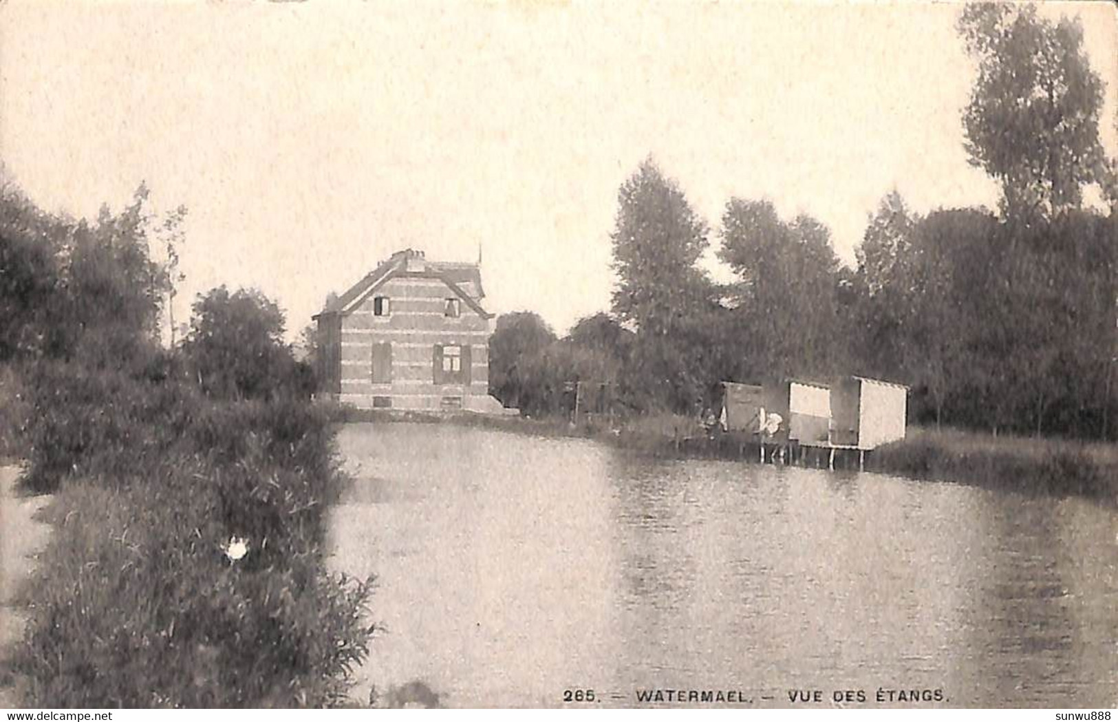 Watermael - Vue Des Etangs (pêcheur, H M Uccle) - Watermael-Boitsfort - Watermaal-Bosvoorde