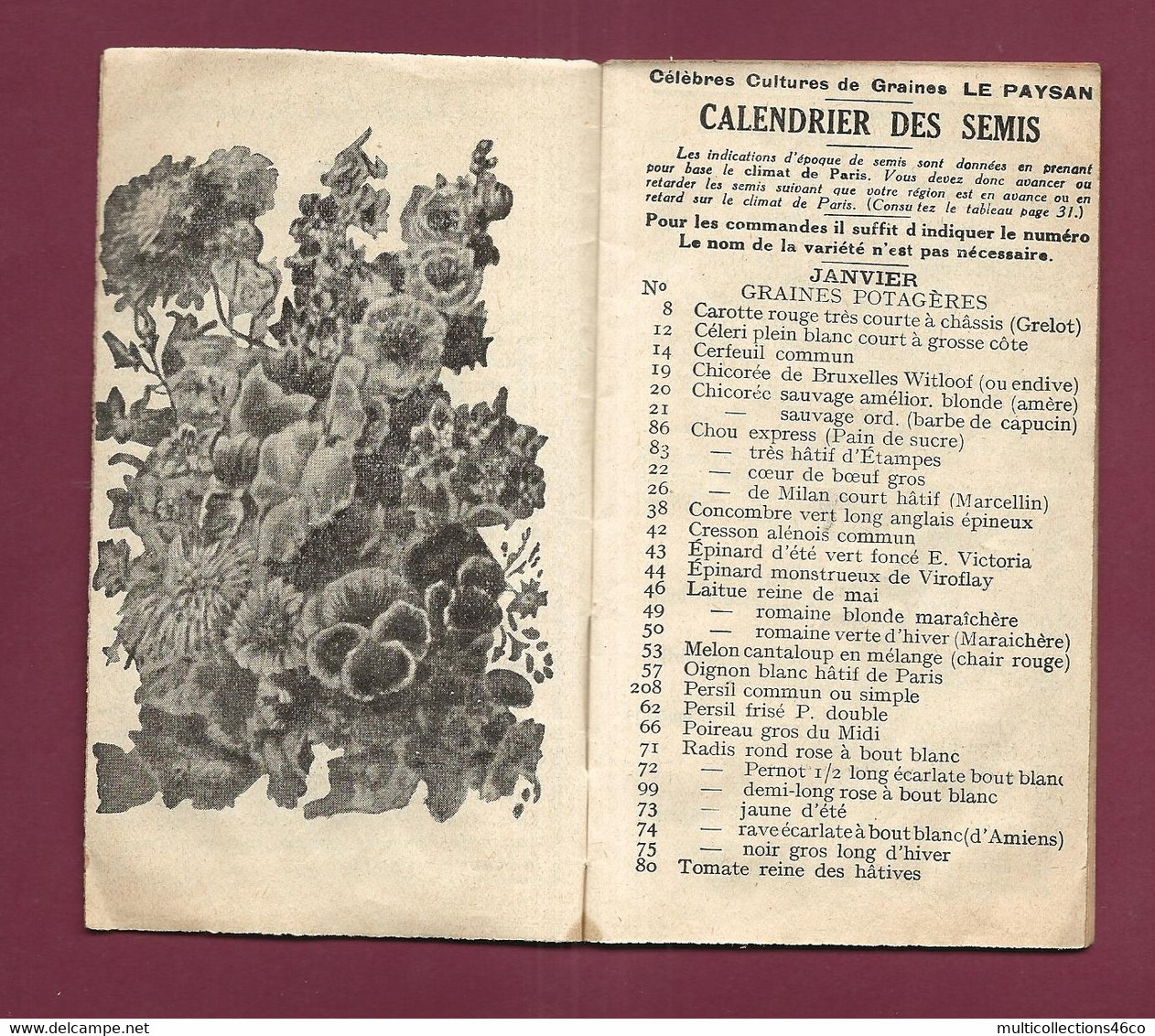 120421A - CALENDRIER DES SEMIS - Célèbres Cultures De Graines LE PAYSAN Graines Potagères Et De Fleurs - Altri & Non Classificati