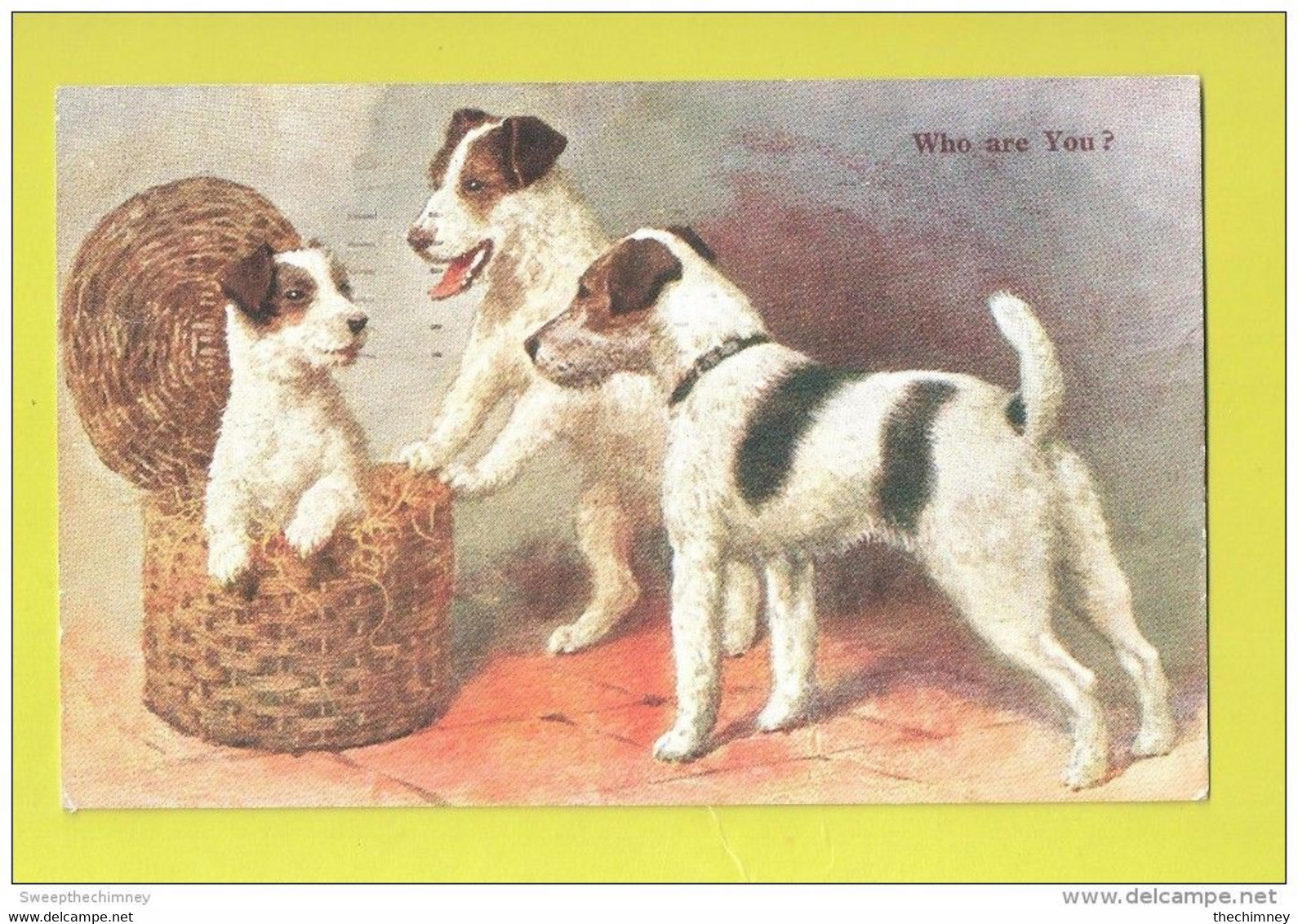 Thème CHIENS Chien : Fox Terrier ? ECRITE USED FOX TERRIERS - Hamper - WHO ARE YOU ? J Salmon #4042 - Dog Postcard Used - Perros