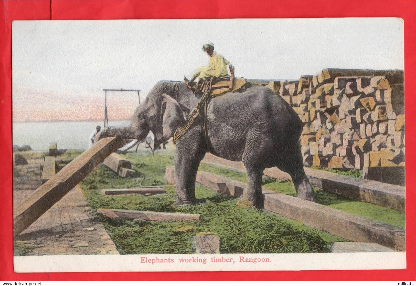 MIANMAR  EX BURMA   RANGOON   ELEPHANTS WORTING TIMBER  LUMBER INDUSTRY - Myanmar (Burma)