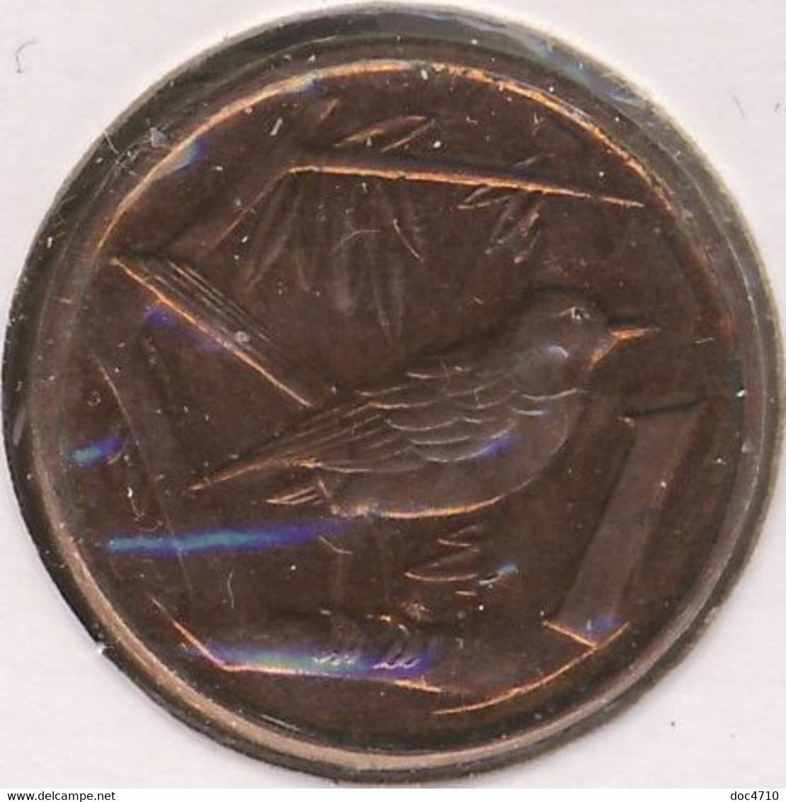 Cayman Islands 1 Cent 2005, Great Cayman Thrush Bird, KM#131, XF- - Kaimaninseln