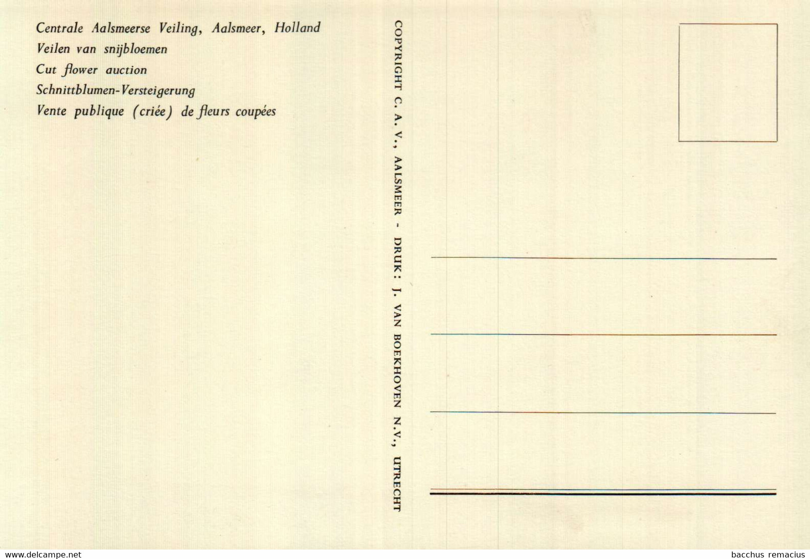 AALSMEER  Centrale Aalsmeerse Veiling  Veilen Van Snijbloemen - Aalsmeer