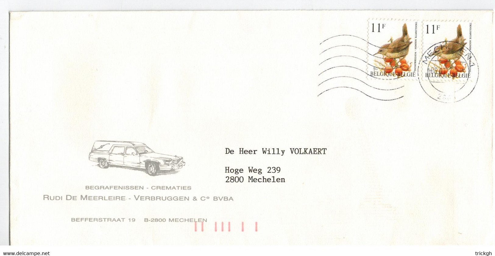 Mechelen 1994 / Buzin Oiseau Vogel Bird / Auto Car - Storia Postale