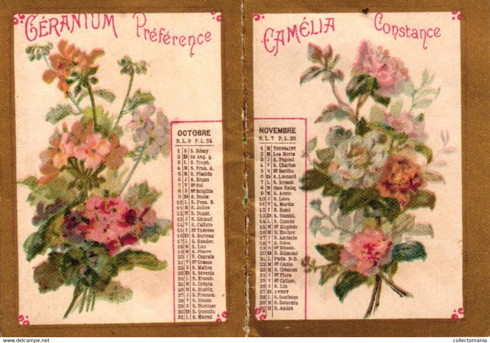 1 Carnet Booklet Calendrier 1904  Bazar Laffitte Dictionnaire Plantes Narcisse Girofle Tulipes Iris Pavot CHISANTEME