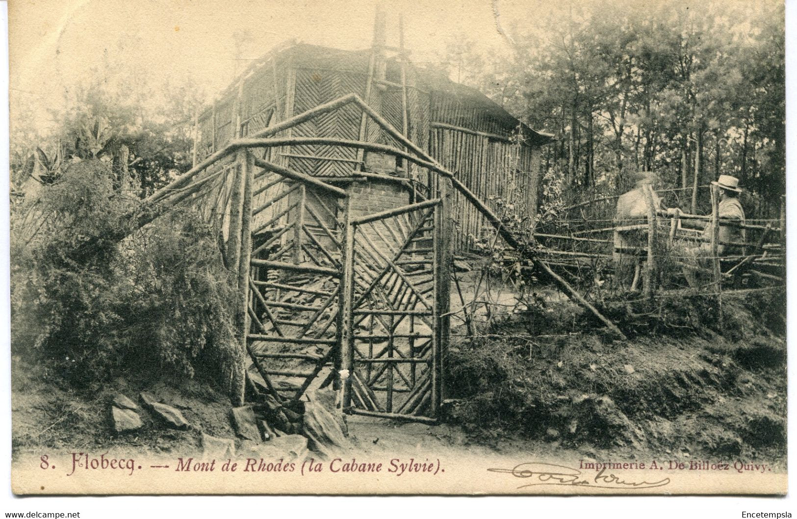 CPA - Carte Postale - Belgique - Flobecq - Mont De Rhodes - La Cabane Sylvie  - 1905 (AT16583) - Vloesberg