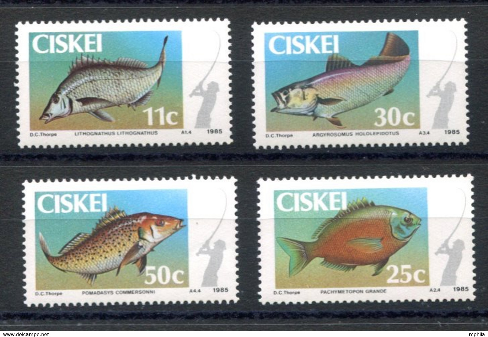 RC 20890 CISKEI N° 70 / 73 SPORT FISHING PECHE SPORTIVE POISSONS NEUF ** MNH TB - Ciskei