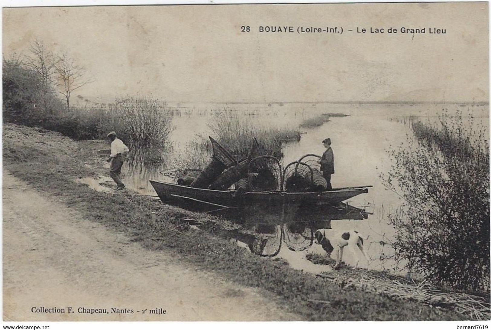 44  Bouaye  -  Le Lac De  Grand Lieu - Bouaye