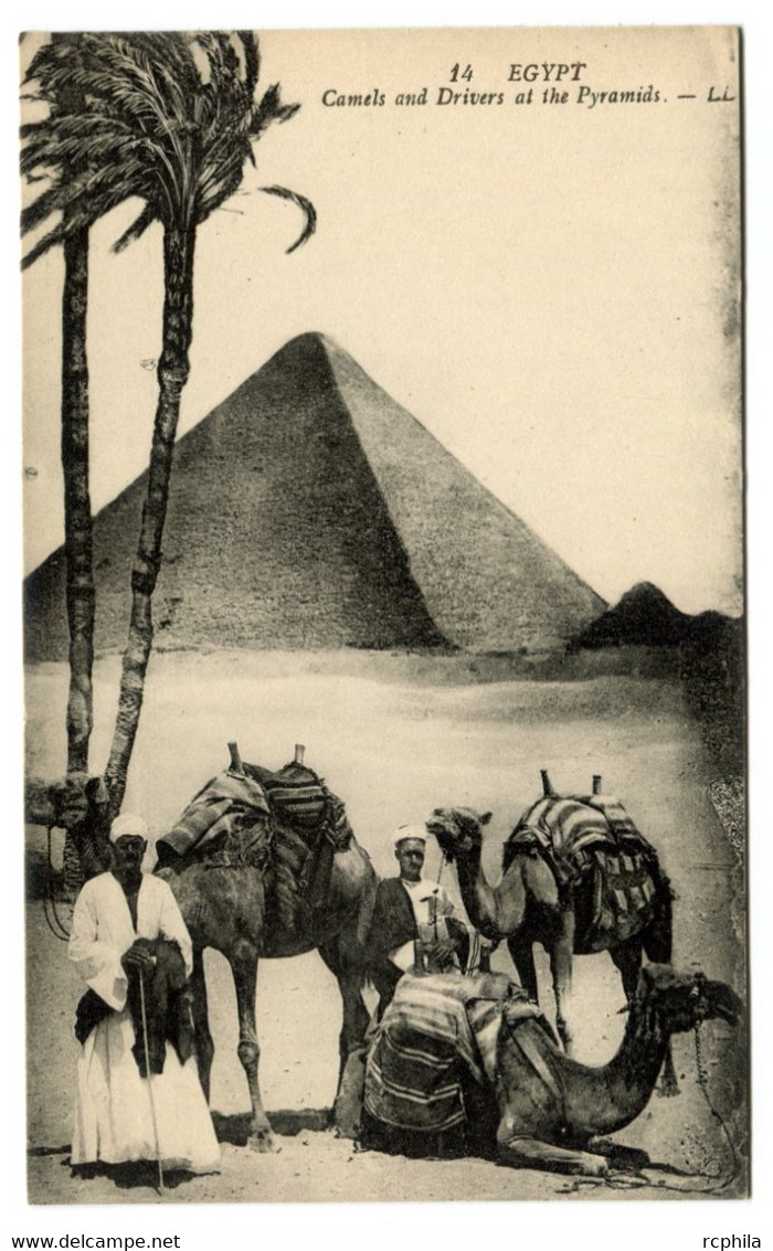 RC 20905 EGYPTE CAMELS AND DRIVERS AT THE PYRAMIDS CARTE POSTALE - POSTCARD - Pyramides