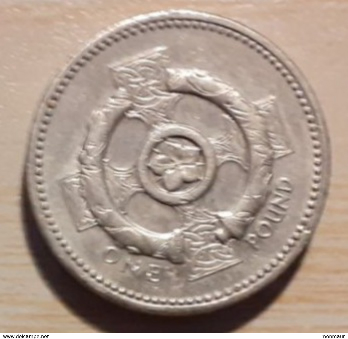 GRAN BRETAGNA 1 POUND 1996 - 1 Pound