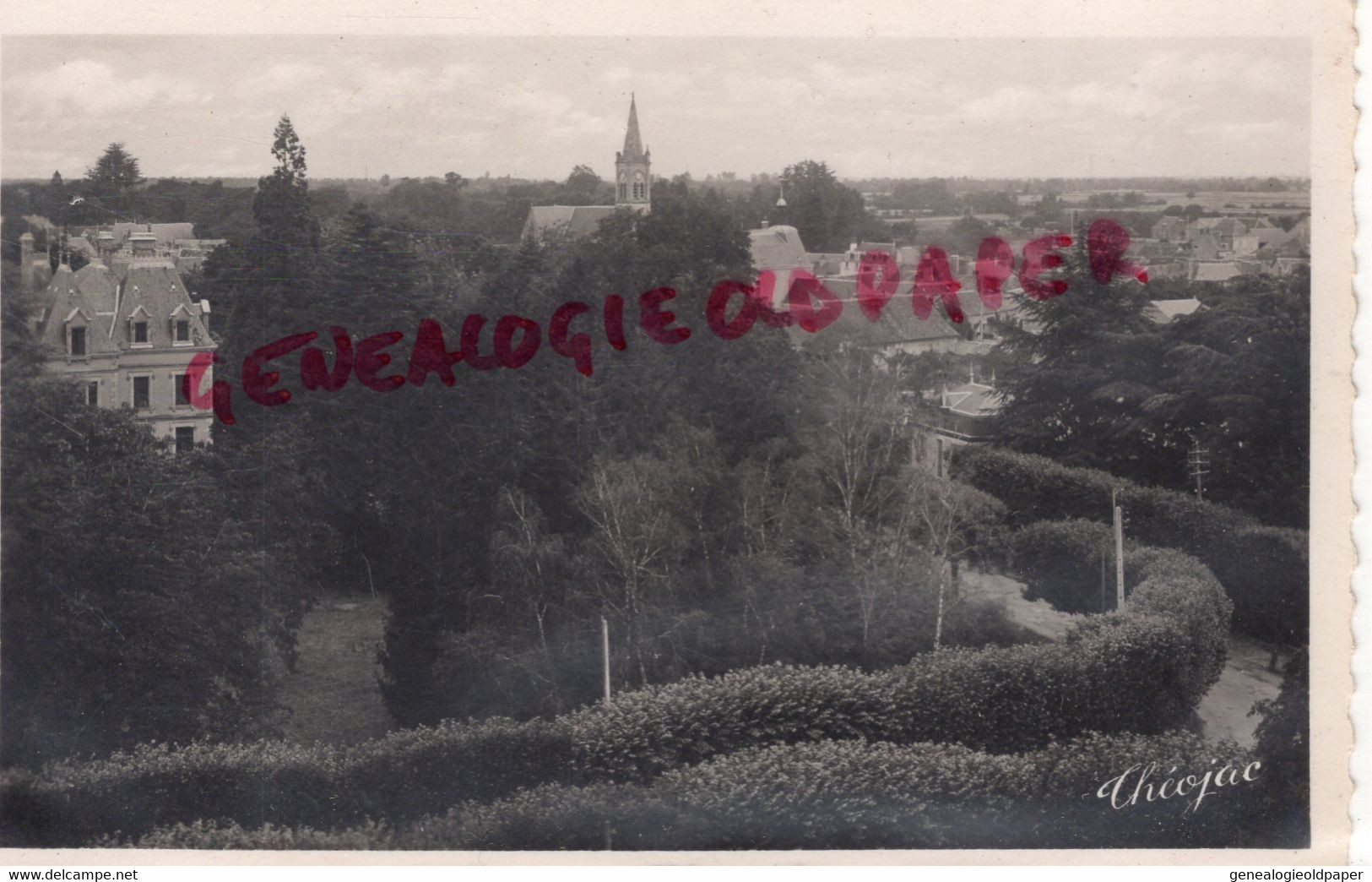 86- PLEUMARTIN - VUE GENERALE - VIENNE - Pleumartin