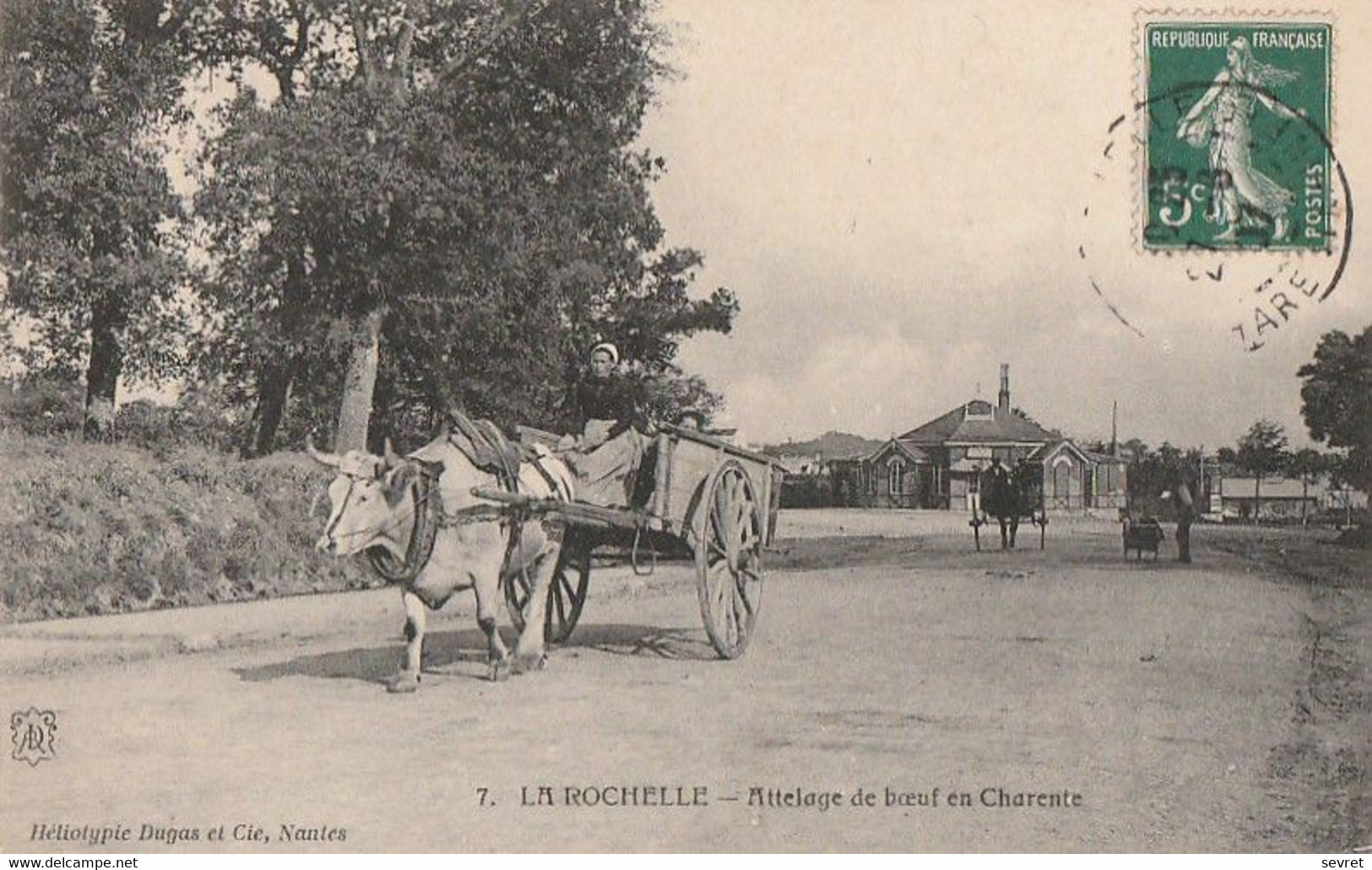 LA ROCHELLE. -   Attelage De Boeufs En Charente - Attelages