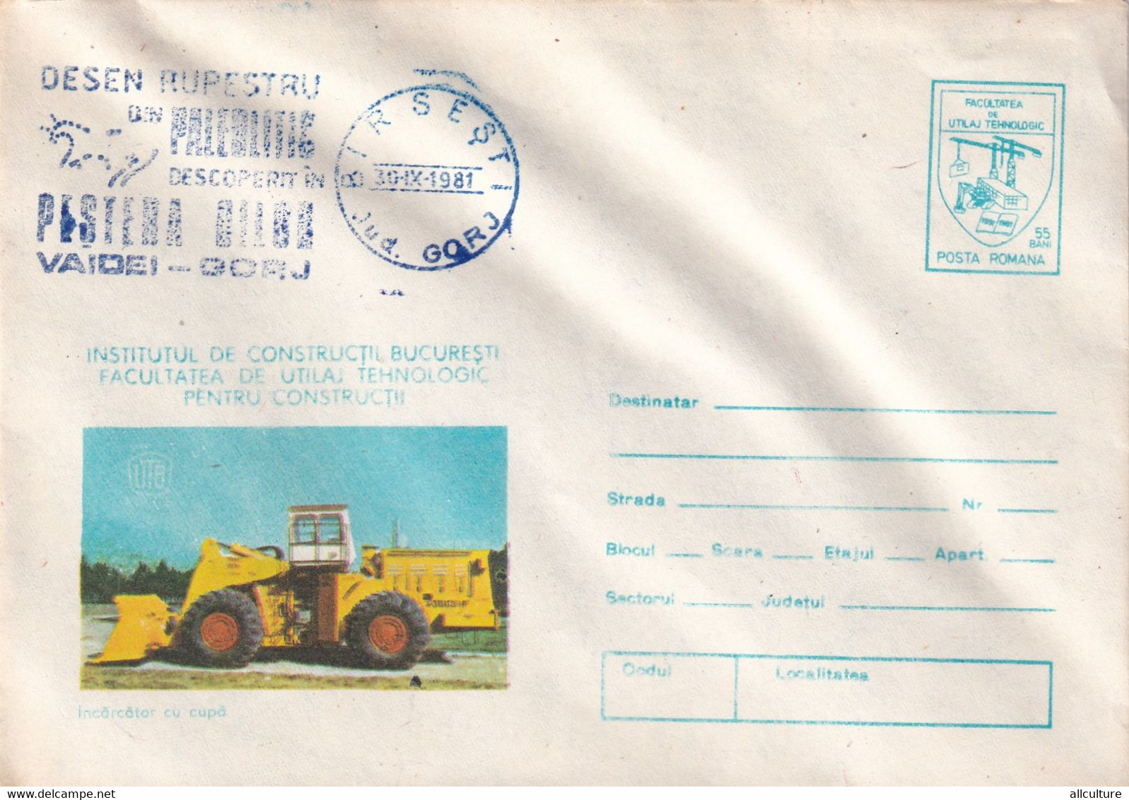 A3197 - Paleolithic Cave Drawing In Oilor Cave, Vaidei - Gorj, Birsesti 1981  Romania Cover Stationery - Archéologie