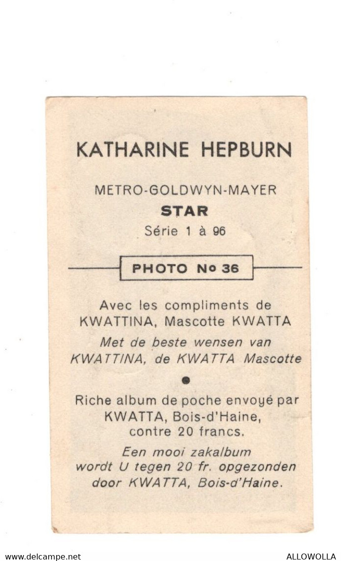 11925 " KATHARINE HEPBURN " METRO GOLDWYN MAYER-STAR-PHOTO N° 36 - Other & Unclassified