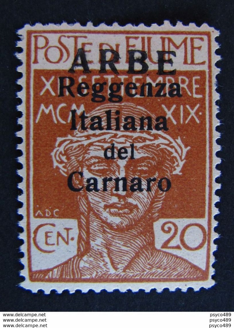 ITALIA Occupazioni ARBE -1920- "Reggenza Carnaro" C. 20 MH* (descrizione) - Arbe & Veglia