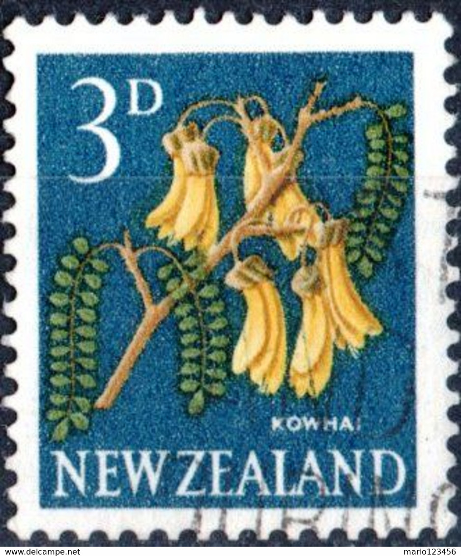 NUOVA ZELANDA, NEW ZEALAND, FLORA FIORI, FLOWERS, 1960, 3 D., FRANCOBOLLO USATO Mi:NZ 396A, Scott:NZ 337, Yt:NZ 387 - Usati