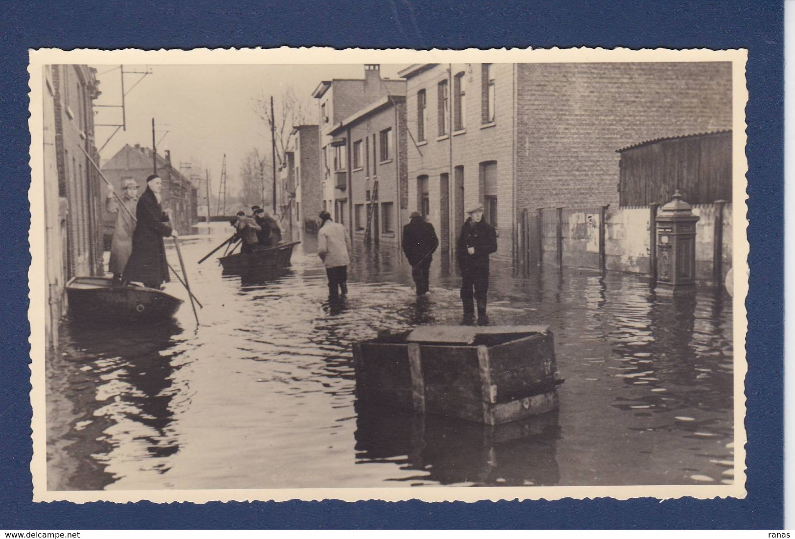 CPSM Belgique > Anvers > Willebroek Carte Photo Non Circulé Inondation Catastrophe - Willebrök