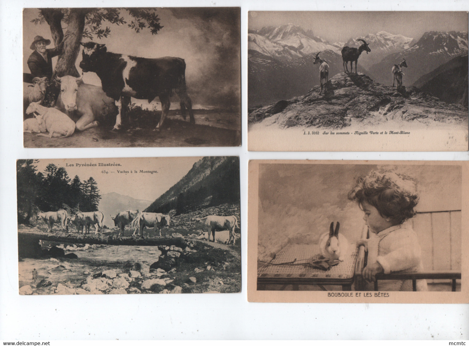 31 Cartes Agricoles , Animaux De La Ferme , élevages - Mouton , Vache ,  Chèvre - Moutons , Chèvres , Vaches - Allevamenti