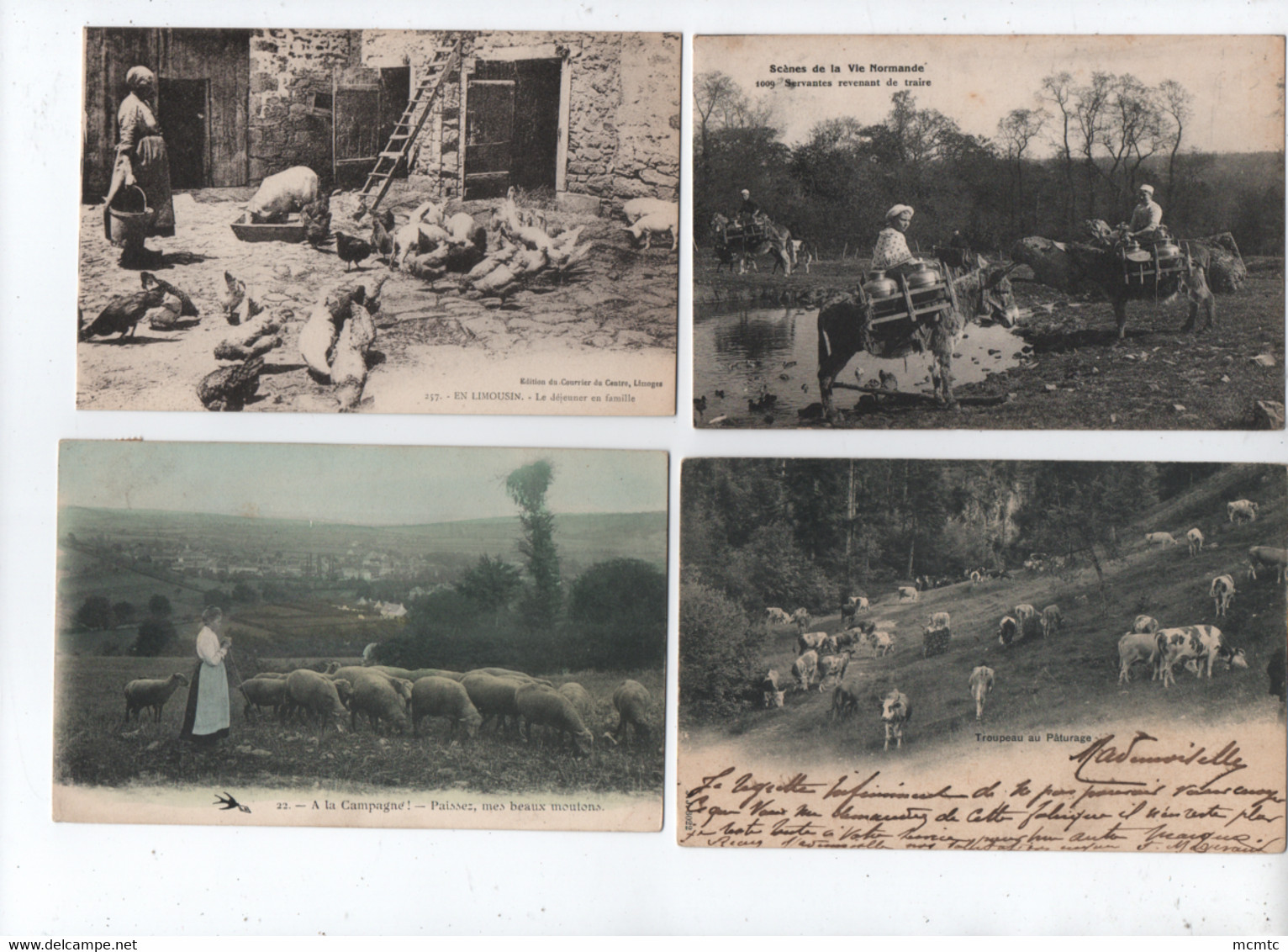 31 Cartes Agricoles , Animaux De La Ferme , élevages - Mouton , Vache ,  Chèvre - Moutons , Chèvres , Vaches - Elevage