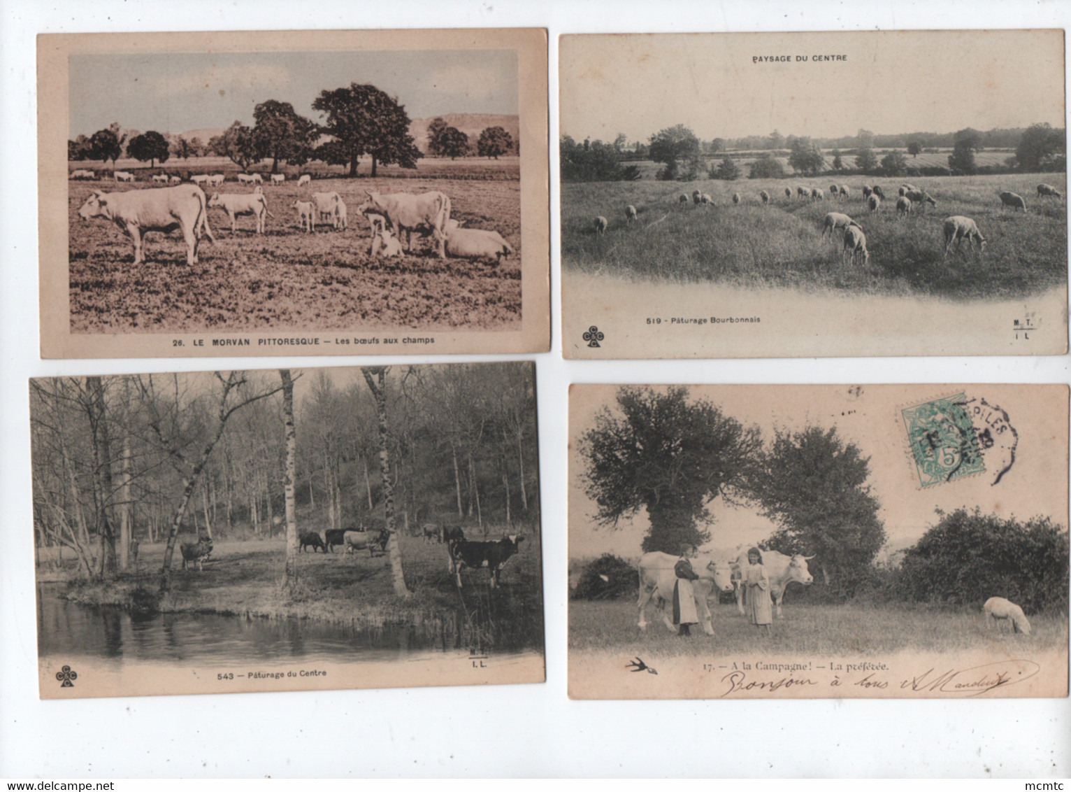 31 Cartes Agricoles , Animaux De La Ferme , élevages - Mouton , Vache ,  Chèvre - Moutons , Chèvres , Vaches - Allevamenti