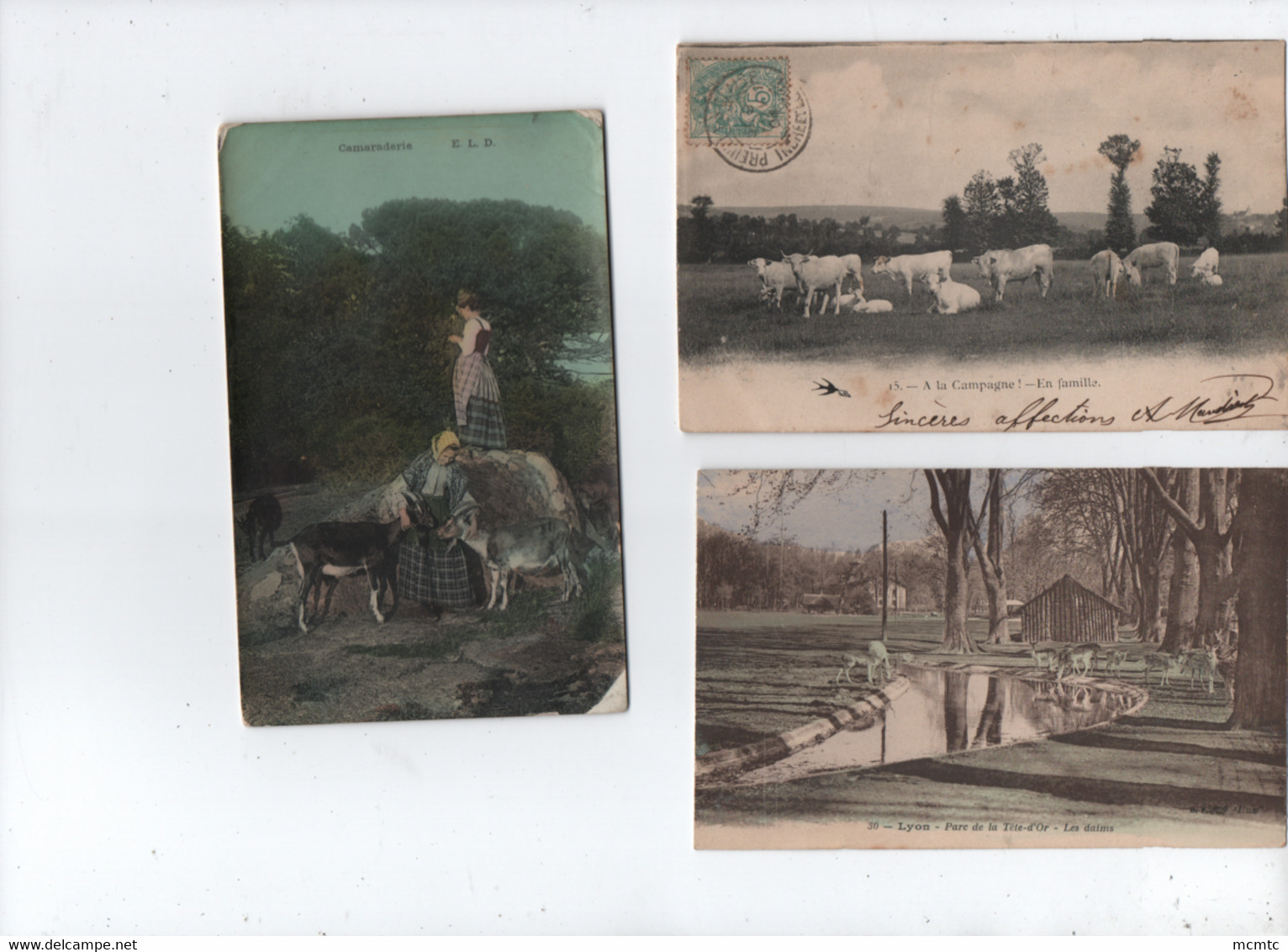 31 cartes agricoles , Animaux de la Ferme , élevages - Mouton , Vache ,  Chèvre - Moutons , Chèvres , Vaches