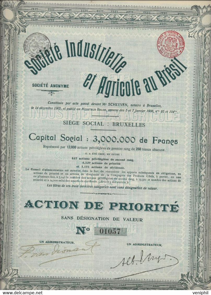 SOCIETE INDUSTRIELLE ET AGRICOLE AU BRESIL - ACTION DE PRIORITE - ANNEE 1906 - Agricoltura