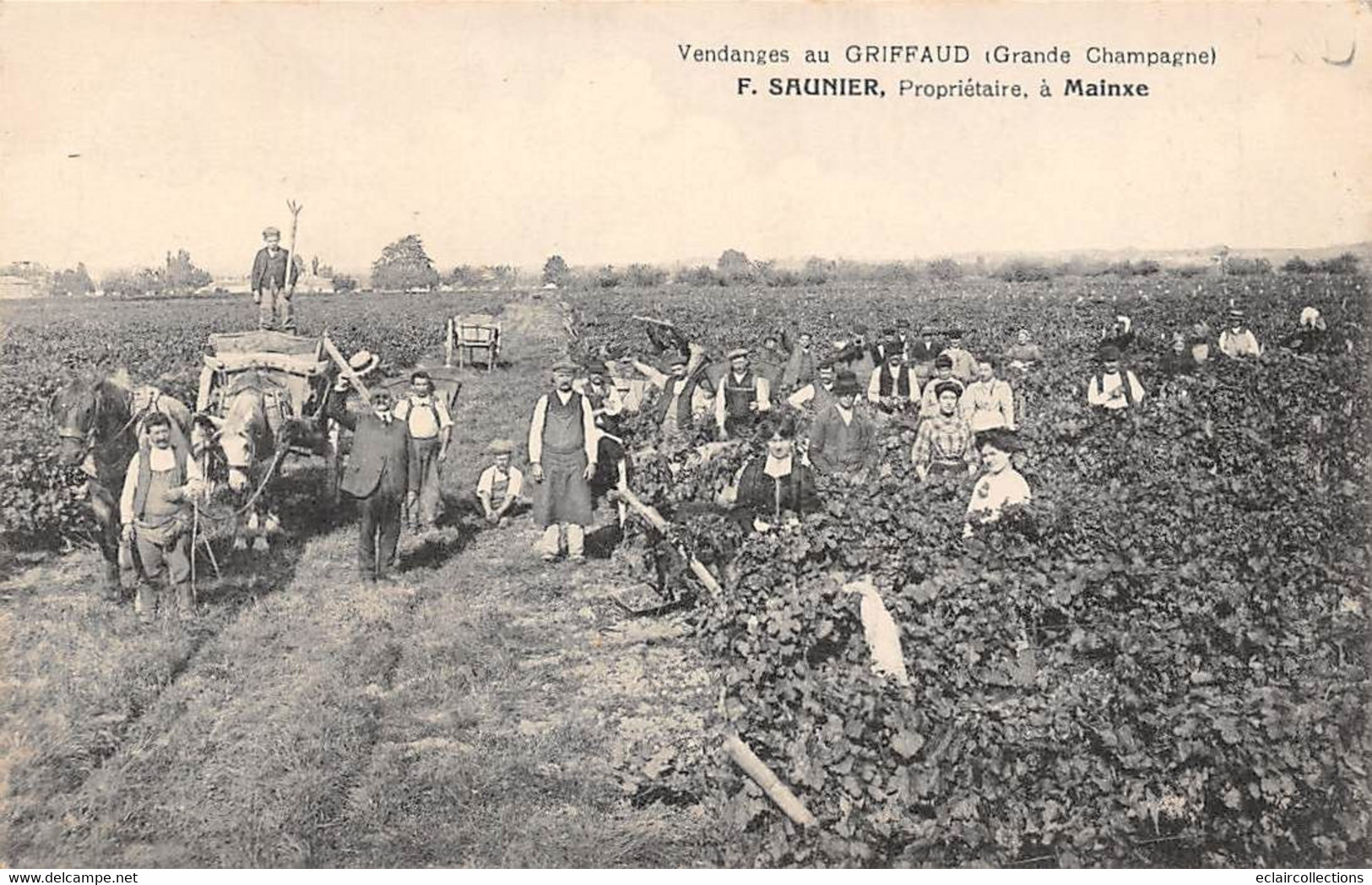 Mainxe       16           Les Vendanges  Chez Saunier Propriétaire         (voir Scan) - Altri & Non Classificati