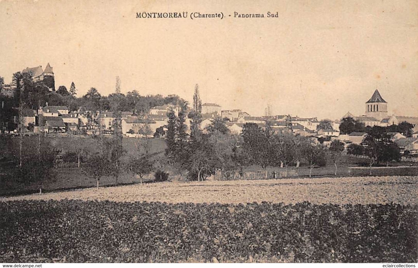 Montmoreau        16          Panorama Sud      (voir Scan) - Otros & Sin Clasificación