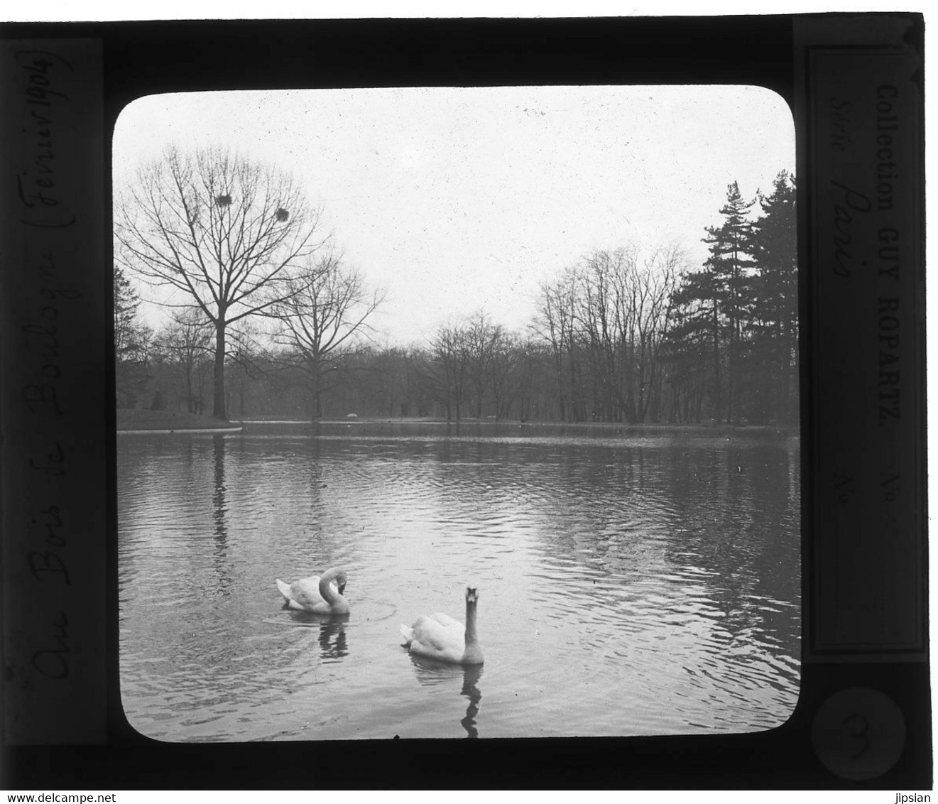 Plaque De Verre Photo Collection Guy Ropartz ( Grand Compositeur ) Le Bois De Boulogne En Février 1904  --- GF - Famous People