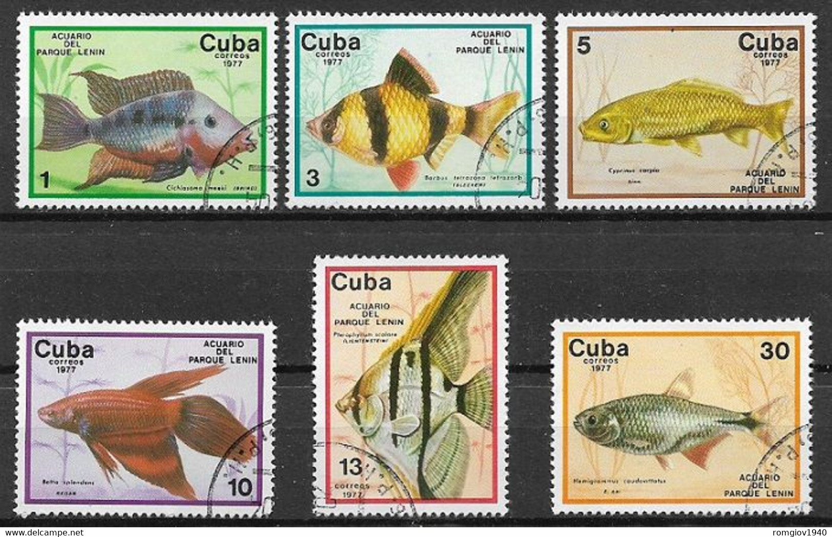 CUBA 1977 PESCI DELL'AQUARIO DEL PARCO LENIN YVERT. 1993-1998 USATA VF - Otros & Sin Clasificación