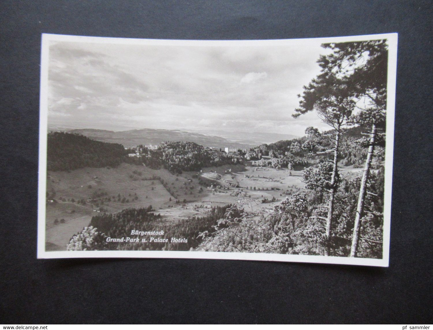 Schweiz 1942 Postkarte / Echtfoto AK Bürgenstock Grand Park Und Palace Hotels Nr. 406 EF Nach Reinach Aargau Gesendet - Storia Postale