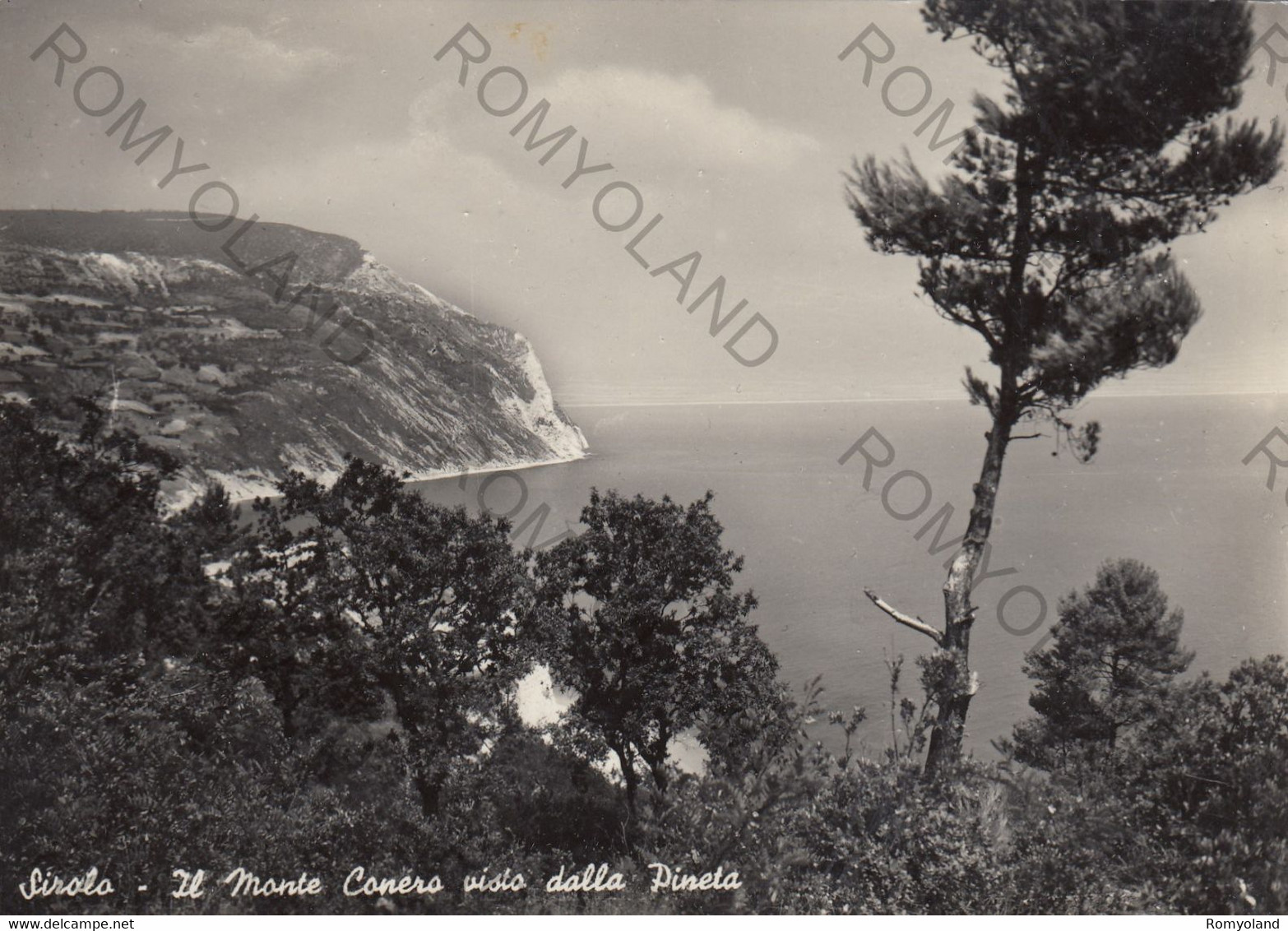 CARTOLINA  SIROLO,ANCONA,MARCHE,IL MONTE CONERO VISTO DALLA PINETA,VACANZA,BAGNI,BARCHE A VELA,LUNGOMARE,NON VIAGGIATA - Ancona