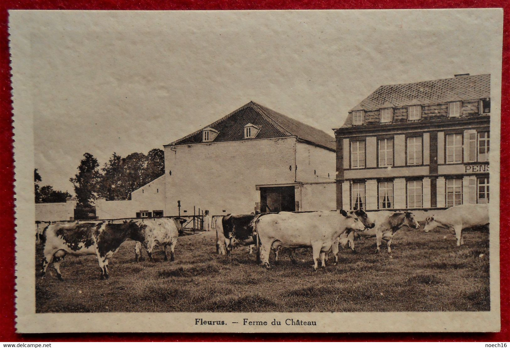 CPA  Fleurus -  Ferme Du Château - Fleurus