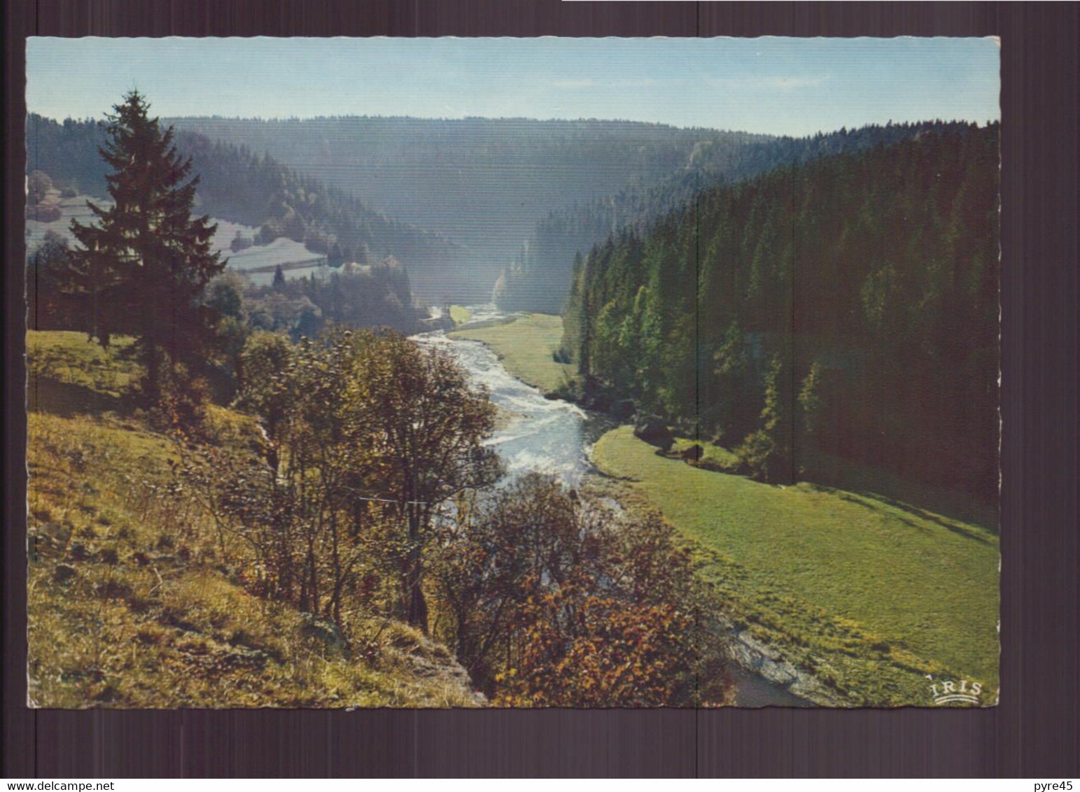 PAYSAGE DE L EST CONTRE JOUR DANS LA VALLEE - Champagne-Ardenne