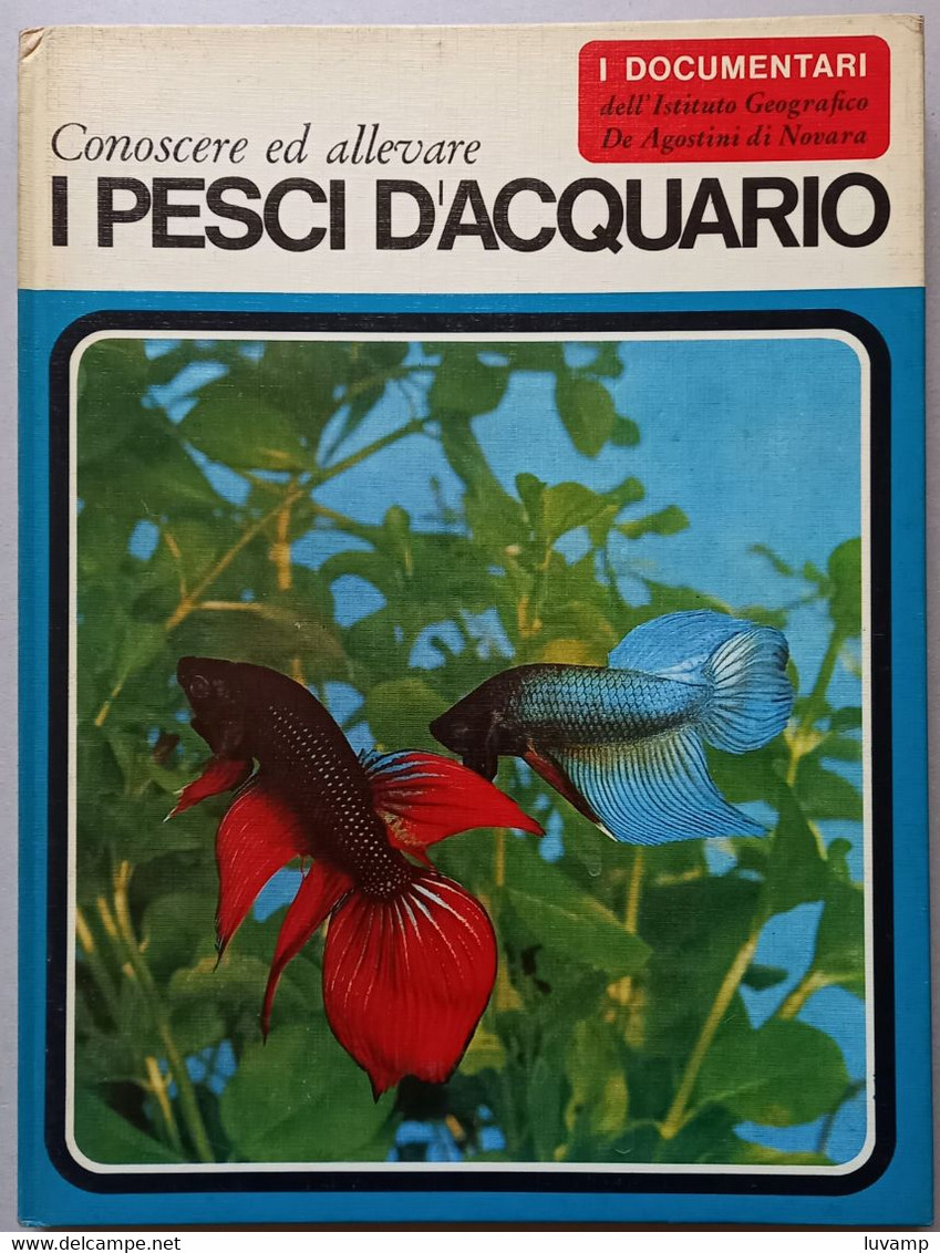 I DOCUMENTARI DE AGOSTINI-  I PESCI D'ACQUARIO ( CART 72) - Sonstige & Ohne Zuordnung