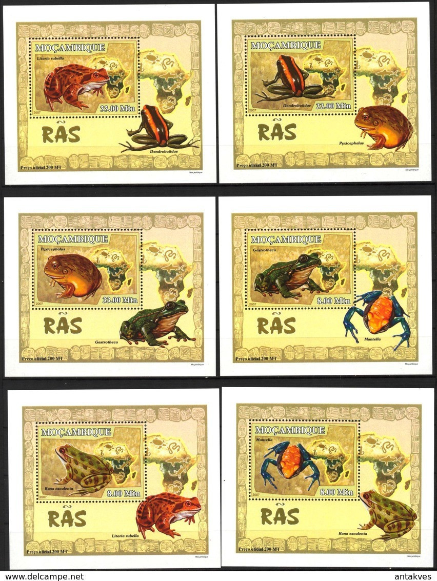 A{122} Mozambique 2007 Frogs 6 S/S Deluxe MNH** - Mozambique