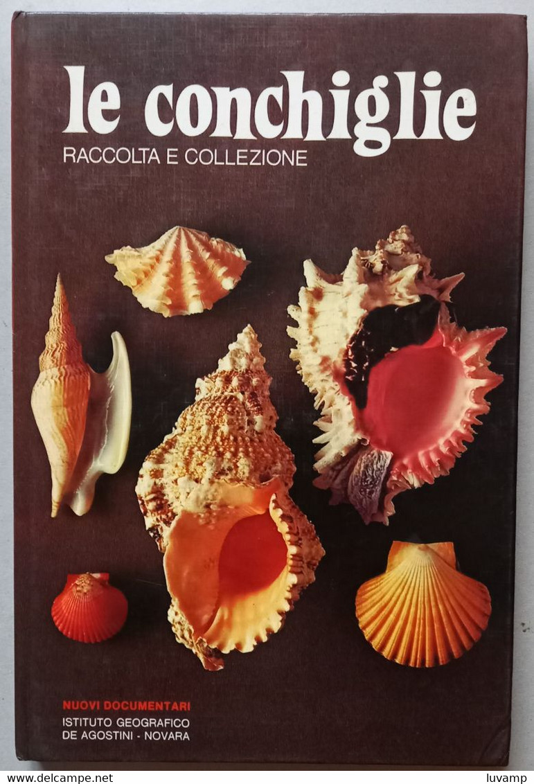 LE CONCHIGLIE -RACCOLTA E COLLEZIONE  -EDIZIONE DE AGOSTINI ( CART 72) - Manuali Per Collezionisti