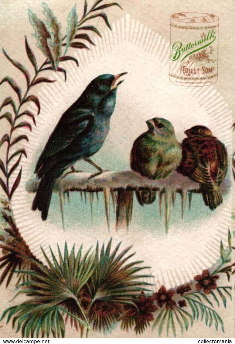 2 Cards Cosmo Buttermilk  Company CHICAGO Toilet Soap For Toilet & Bath, Chat Et Oiseaux - Kat En Vogels, RECLAME Sublim - Andere & Zonder Classificatie