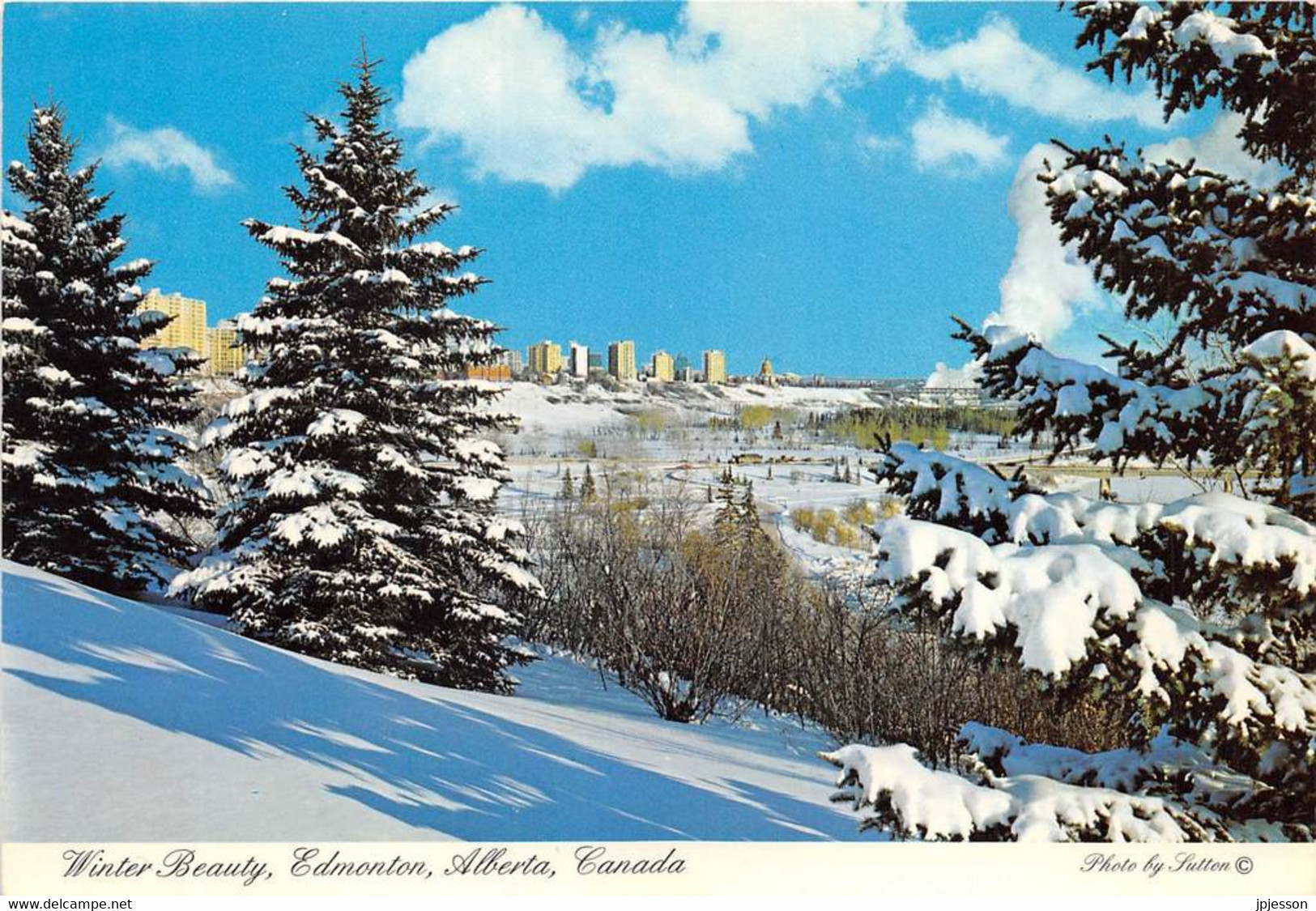 ALBERTA - EDMONTON - WINTER BEAUTY - Edmonton