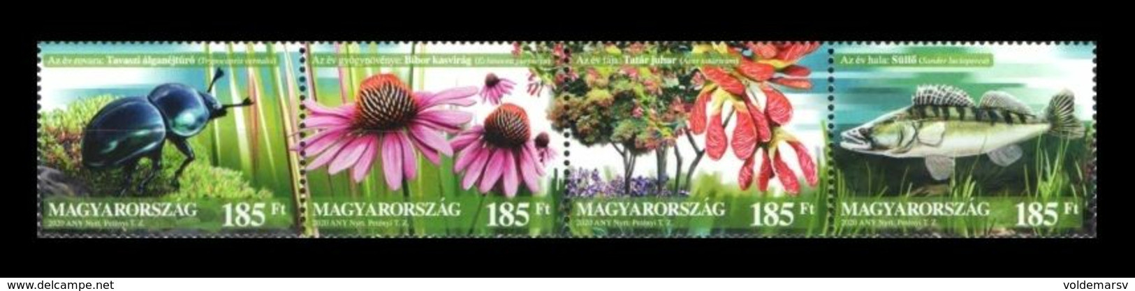 Hungary 2020 Mih. 6144/47 Flora And Fauna. Our Natural Assets. Dor Beetle. Сoneflower. Tatar Maple. Fish Zander MNH ** - Ongebruikt