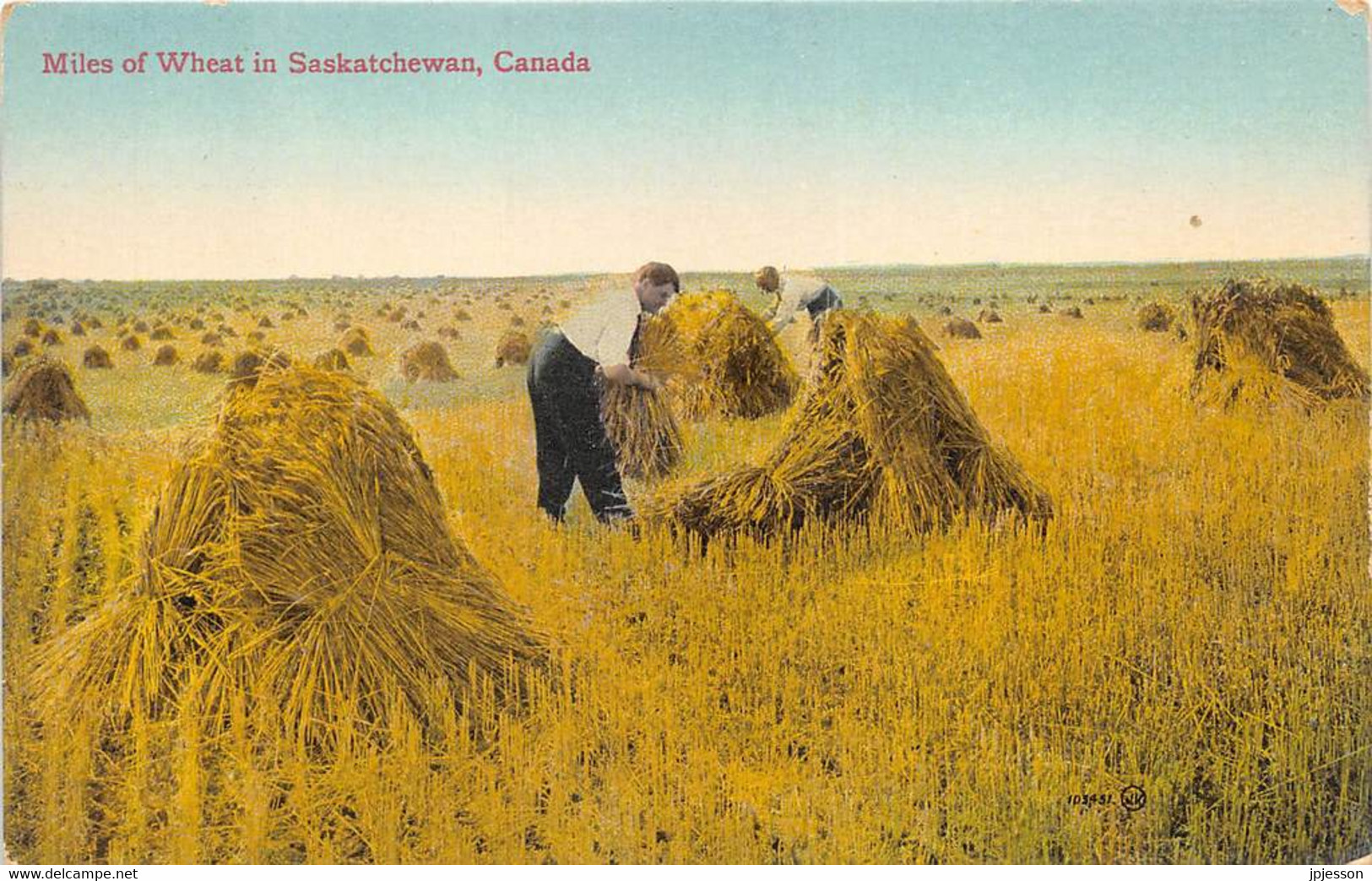 SASKATCHAWAN - MILES OF WHEAT - AGRICULTURE, MOISSON - Other & Unclassified