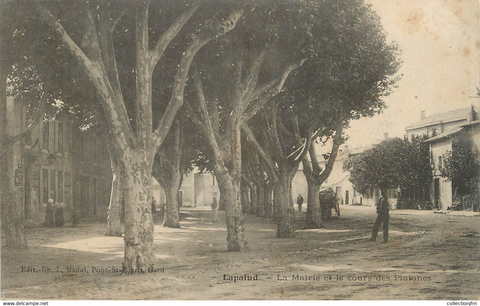 .CPA  FRANCE 84 " Lapalud, La Mairie Et Le Cours Des Platanes" - Lapalud